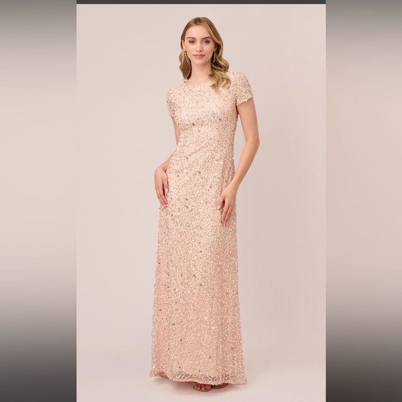 Adrianna Papell Dresses & Skirts - Adrianna Papell Scoop Back Long Dress